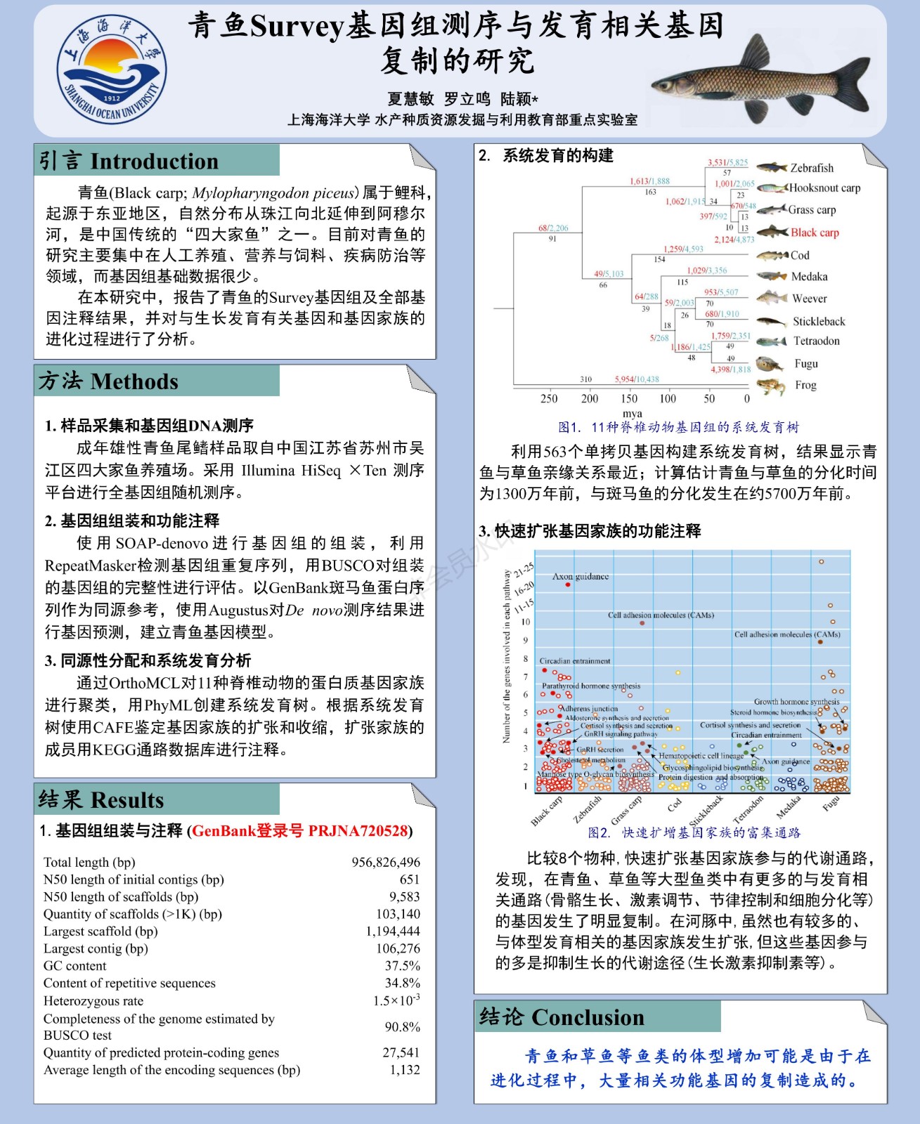 电子墙报集_13.jpg