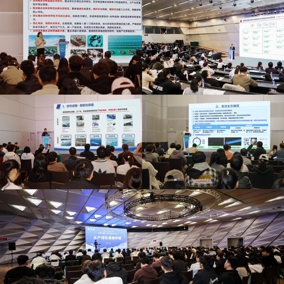 1762754248039036163.png 图片7.png