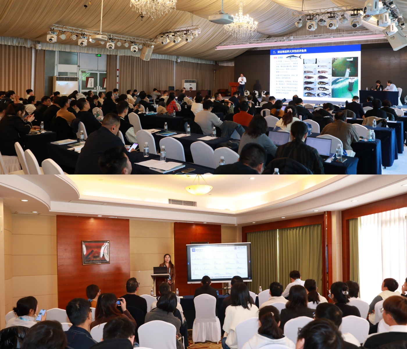 1763956369868049331.jpg 分会场.jpg